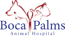 Boca Palms Animal Hospital